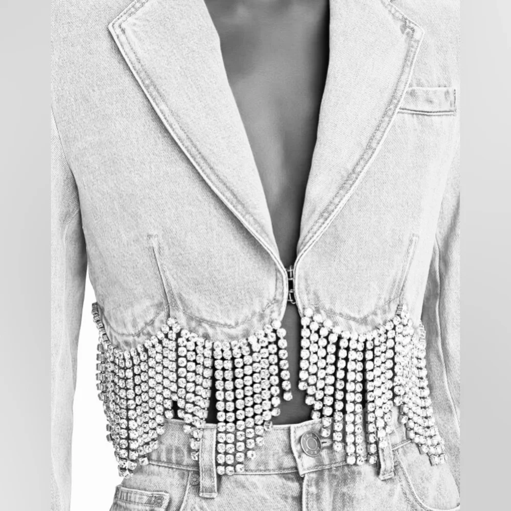 ⚡️⚡️AREA Scalloped Embellished Cropped Denim Jacket in Pale Blue, Size 4,NWT - Picture 11 of 17
